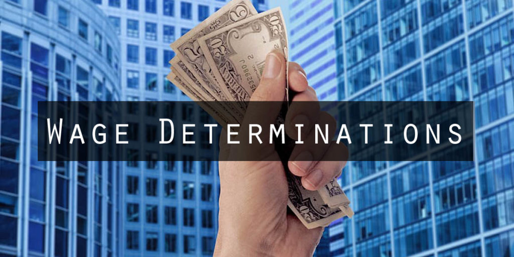 Analyzing Wage Determinants with Advanced Causal Inference